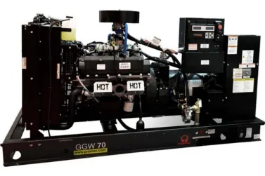 Газовый генератор Pramac GGW70G